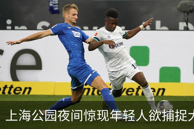 上海公园夜间惊现年轻人欲捕捉大鹅，遭路人制止
