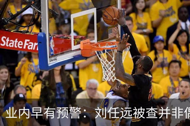 业内早有预警：刘任远被查并非偶然