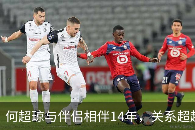 何超琼与伴侣相伴14年，关系超越传统婚姻界限