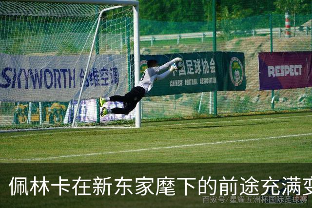 佩林卡在新东家麾下的前途充满变数