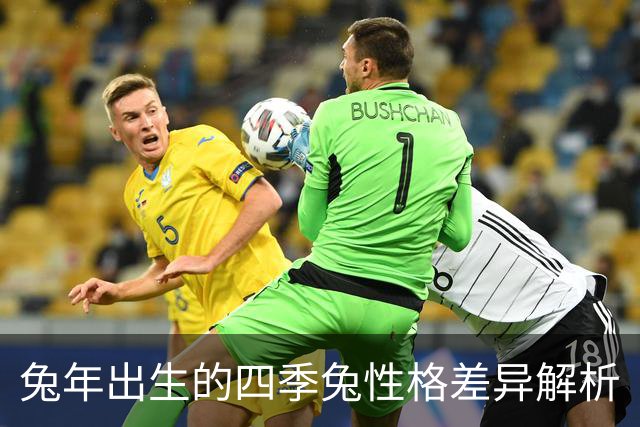 兔年出生的四季兔性格差异解析
