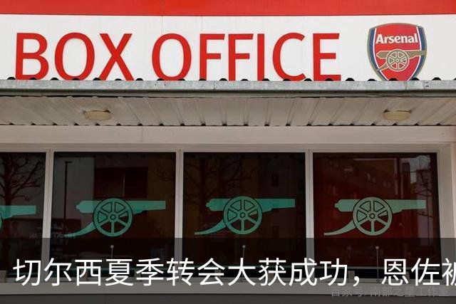 切尔西夏季转会大获成功，恩佐被高价售出引发关注