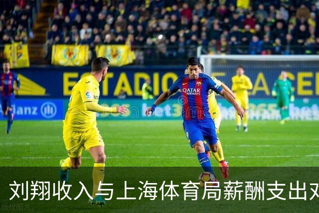 刘翔收入与上海体育局薪酬支出对比