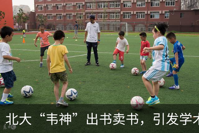 北大“韦神”出书卖书，引发学术与商业讨论