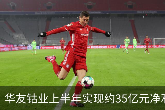 华友钴业上半年实现约35亿元净利润