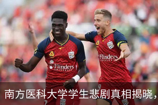 南方医科大学学生悲剧真相揭晓，误解导师引发网络暴力
