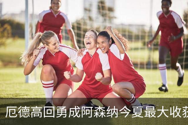 厄德高回勇成阿森纳今夏最大收获