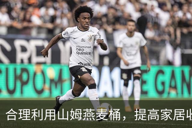 合理利用山姆燕麦桶，提高家居收纳效率