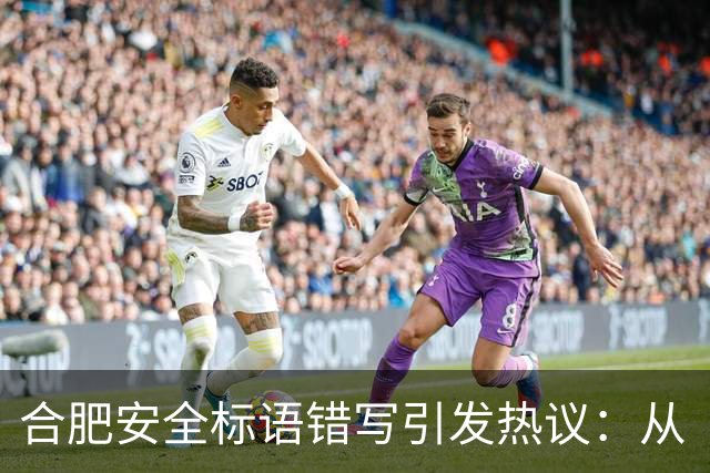 合肥安全标语错写引发热议：从“擦拭”变为“擦试