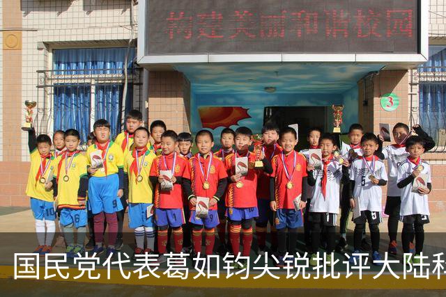 国民党代表葛如钧尖锐批评大陆科技，引发政坛关注