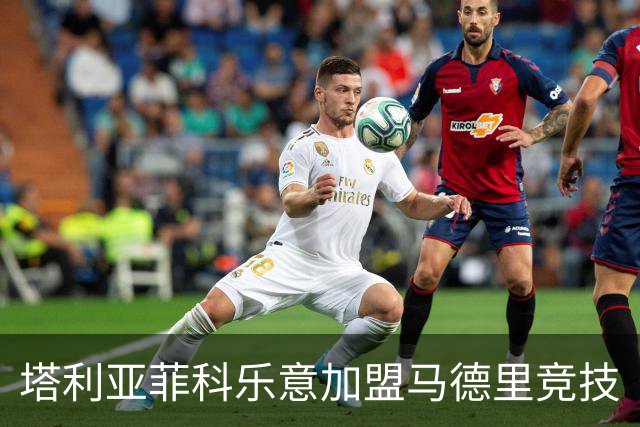 塔利亚菲科乐意加盟马德里竞技