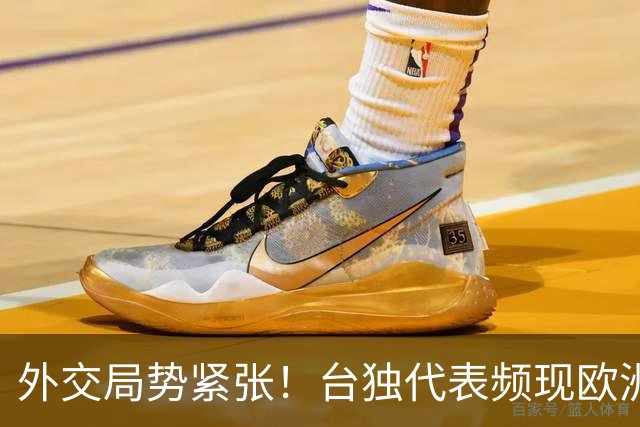 外交局势紧张！台独代表频现欧洲，中国发出严正警告