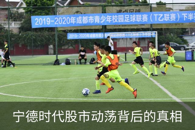 宁德时代股市动荡背后的真相