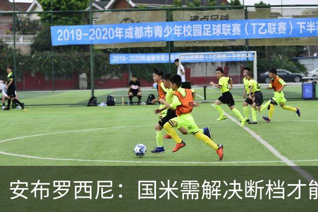 安布罗西尼：国米需解决断档才能锁定夺冠优势