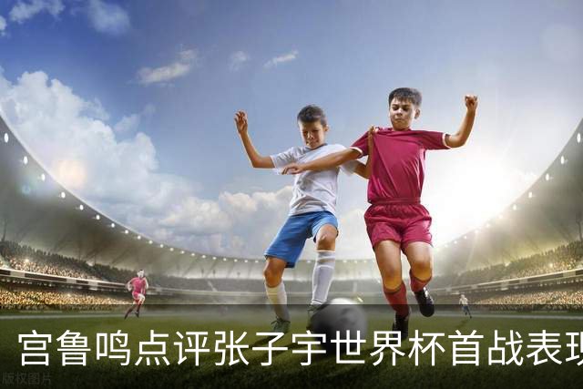 宫鲁鸣点评张子宇世界杯首战表现：表现一般