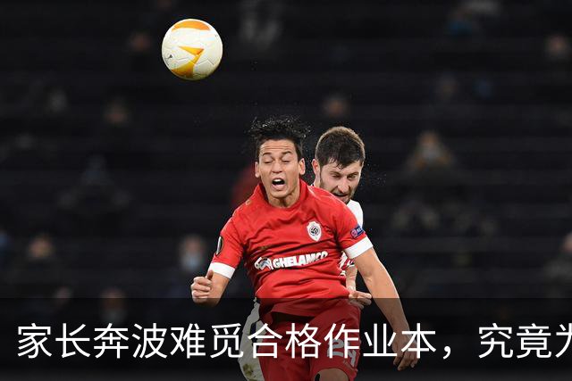 家长奔波难觅合格作业本，究竟为何？
