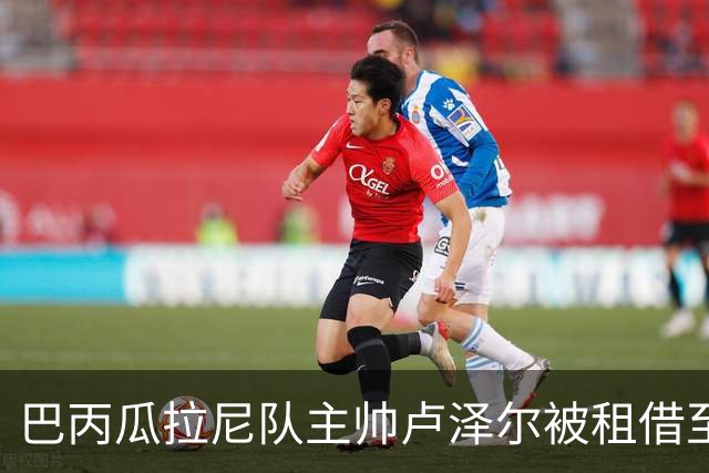 巴丙瓜拉尼队主帅卢泽尔被租借至克里丘马队