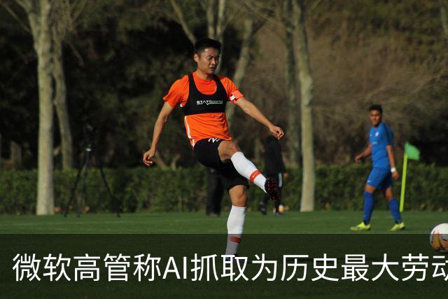 微软高管称AI抓取为历史最大劳动剽窃
