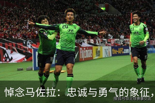 悼念马佐拉：忠诚与勇气的象征，感谢你的付出