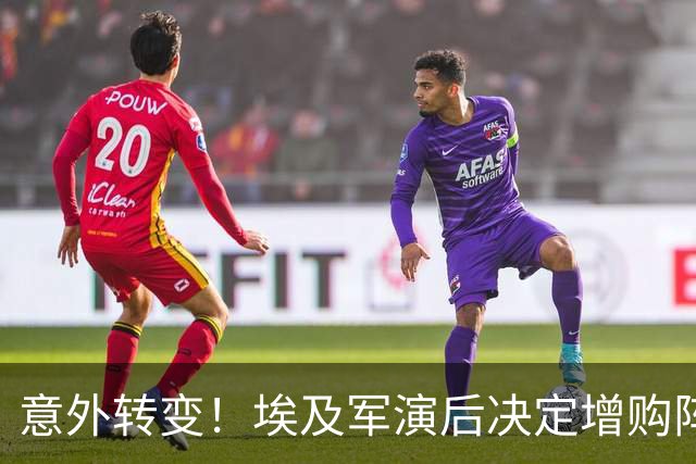 意外转变！埃及军演后决定增购阵风战机，放弃歼10与歼16