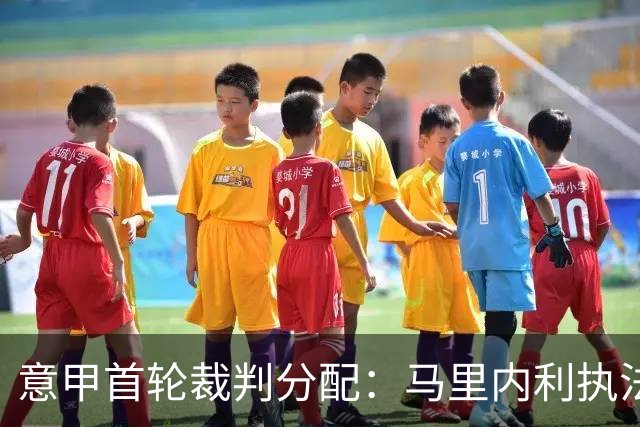 意甲首轮裁判分配：马里内利执法国米揭幕