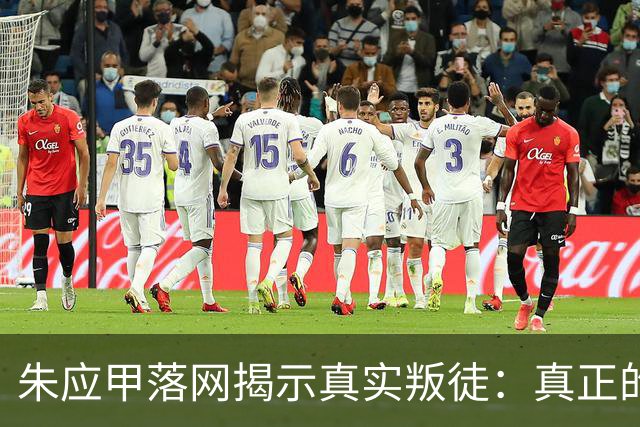 朱应甲落网揭示真实叛徒：真正的痛苦源于深藏的信任危机