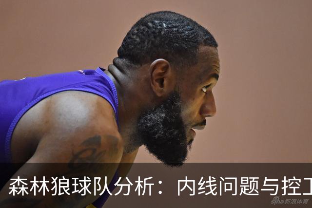 森林狼球队分析：内线问题与控卫需求