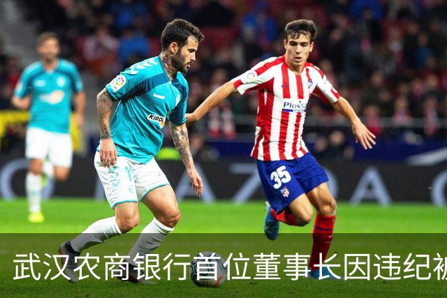 武汉农商银行首位董事长因违纪被查