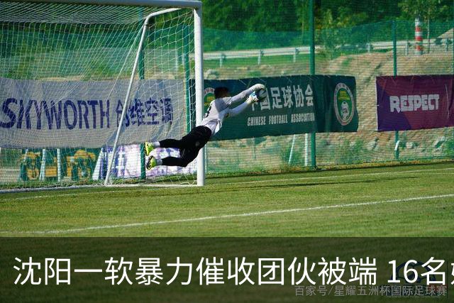 沈阳一软暴力催收团伙被端 16名嫌疑人落网