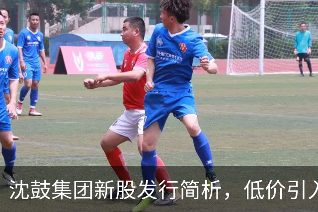 沈鼓集团新股发行简析，低价引入股民关注