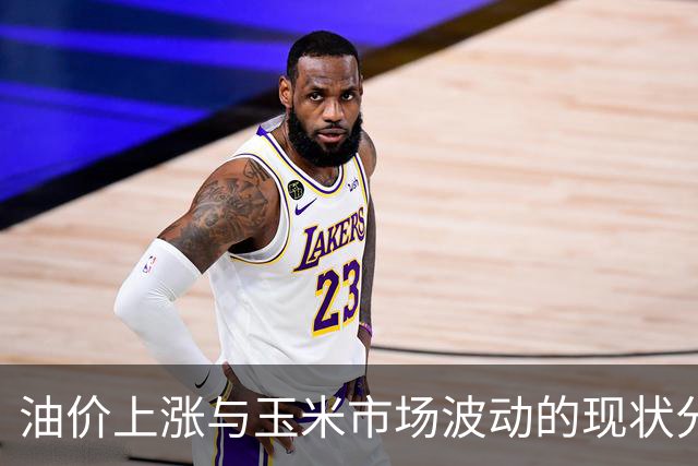 油价上涨与玉米市场波动的现状分析
