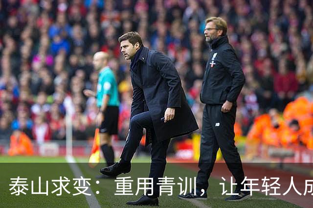 泰山求变：重用青训，让年轻人成为球队新底色