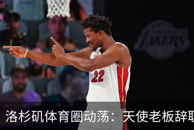 洛杉矶体育圈动荡：天使老板辞职，快船老板受罚