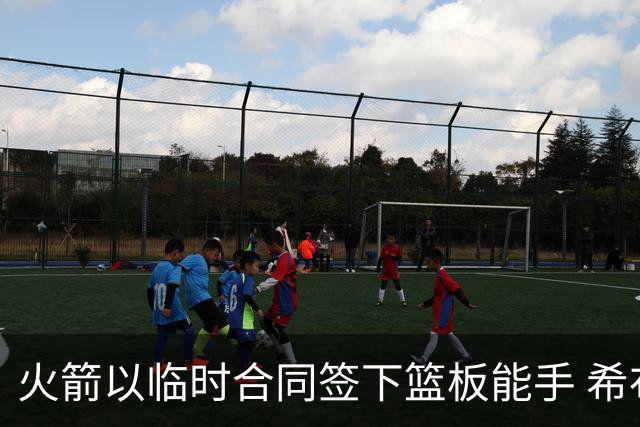 火箭以临时合同签下篮板能手 希布韦争夺名单席位