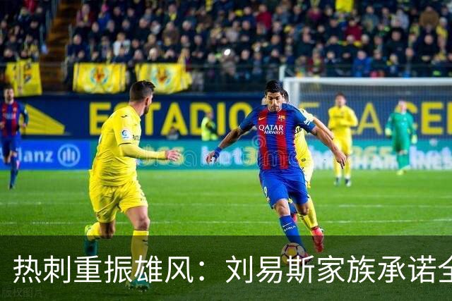 热刺重振雄风：刘易斯家族承诺全心投入，重塑球队未来