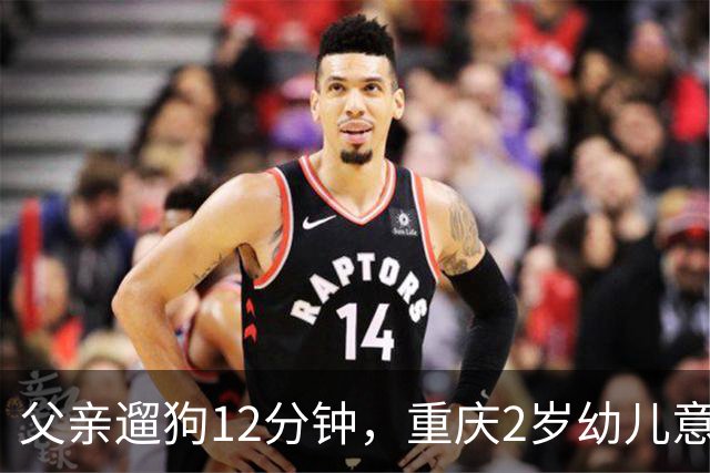父亲遛狗12分钟，重庆2岁幼儿意外坠楼身亡