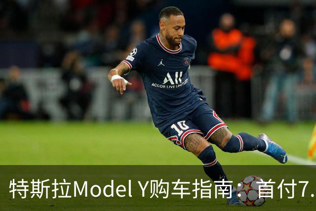 特斯拉Model Y购车指南：首付7.99万，月供2894元的真相解析
