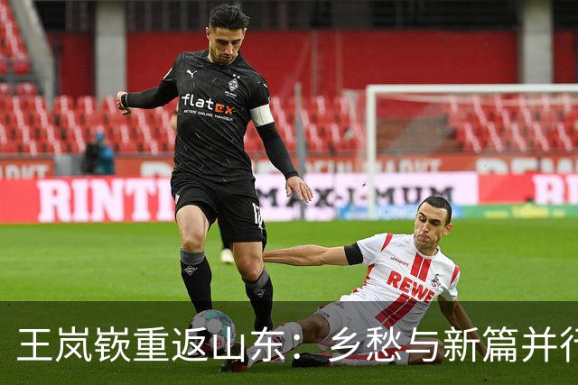 王岚嵚重返山东：乡愁与新篇并行，祝福昔日东家