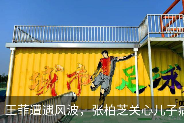 王菲遭遇风波，张柏芝关心儿子病情，谢霆锋默默捐款获赞