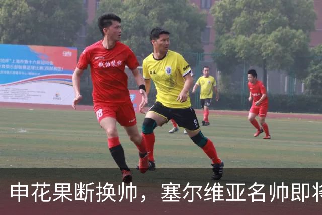 申花果断换帅，塞尔维亚名帅即将接手