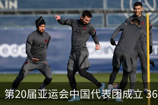 第20届亚运会中国代表团成立 36位奥运冠军参赛
