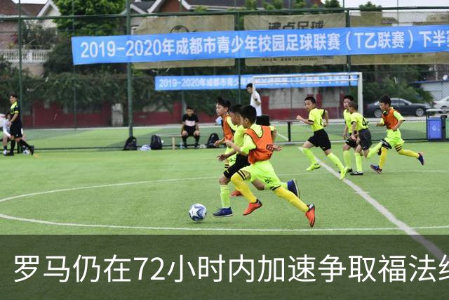 罗马仍在72小时内加速争取福法纳