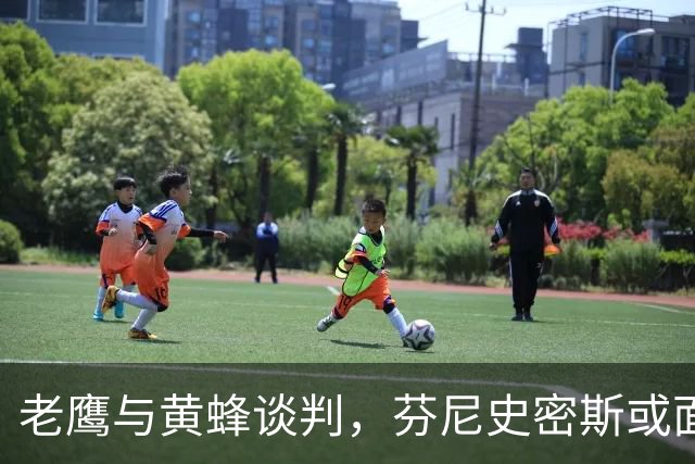 老鹰与黄蜂谈判，芬尼史密斯或面临再次交易
