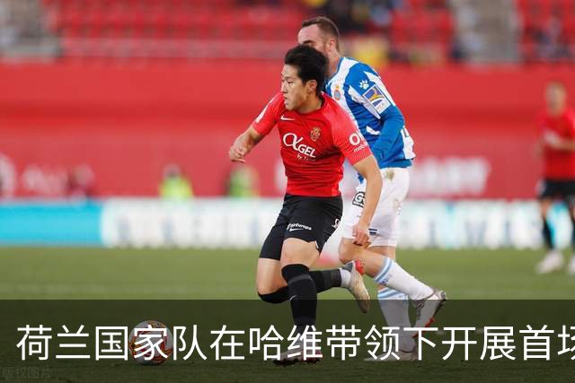 荷兰国家队在哈维带领下开展首场训练，廷贝尔进行个人训练