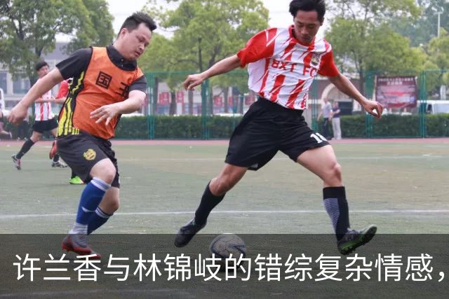 许兰香与林锦岐的错综复杂情感，杜翠雀的阴谋如何破灭