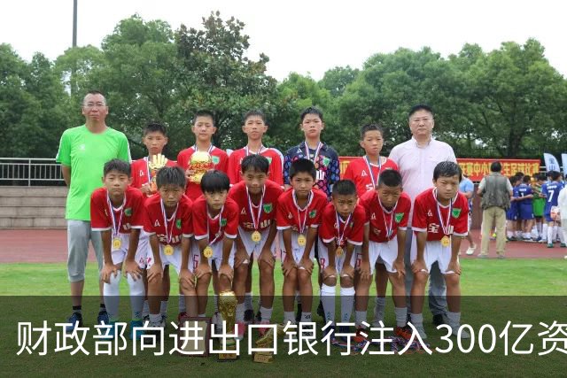 财政部向进出口银行注入300亿资金