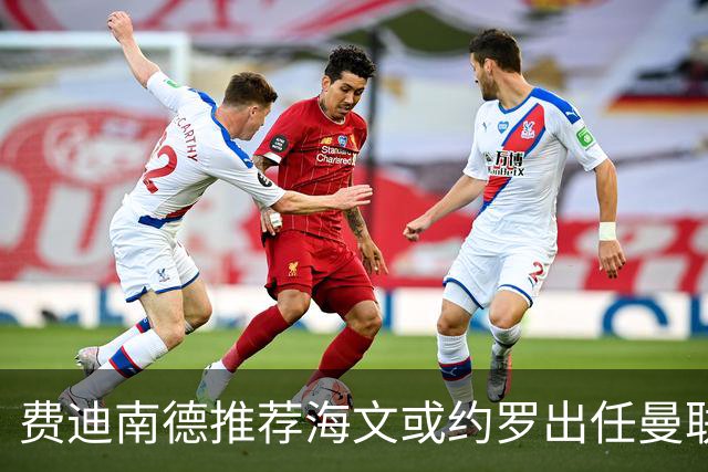 费迪南德推荐海文或约罗出任曼联防线