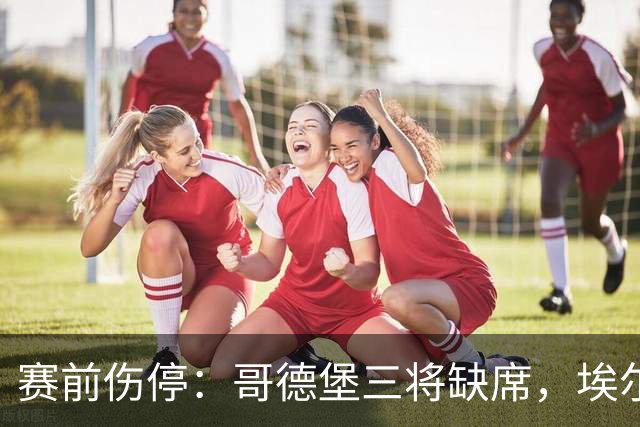 赛前伤停：哥德堡三将缺席，埃尔夫斯堡一伤一停