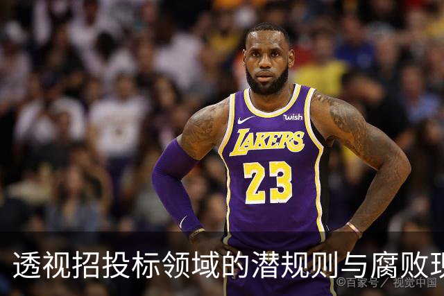 透视招投标领域的潜规则与腐败现象