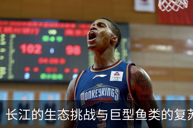 长江的生态挑战与巨型鱼类的复苏现象